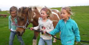 Urlaub auf dem Bauernhof an der Ostsee mit Pony