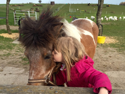 Kind mit Pony